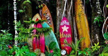 7 Best Things to Do in Hawaii With Kids