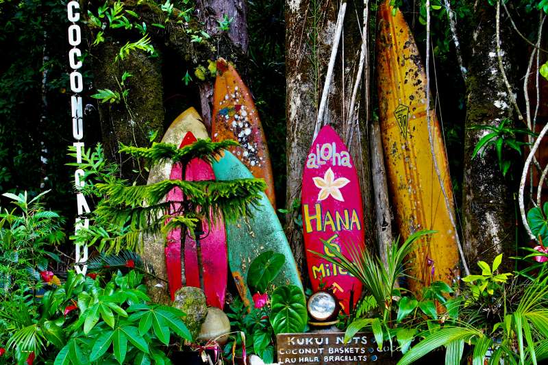 7 Best Things to Do in Hawaii With Kids