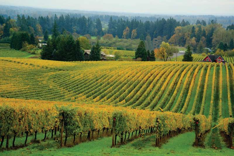 Willamette Valley, Oregon