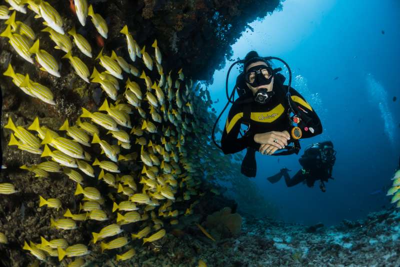 The 7 Best Scuba Diving Sites in Martinique